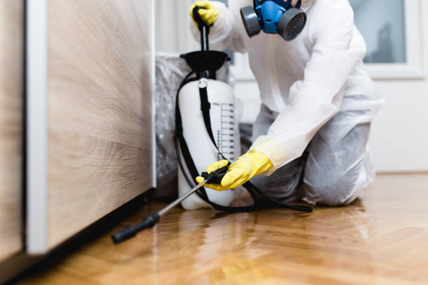 Professional Pest Control in Cassopolis, MI