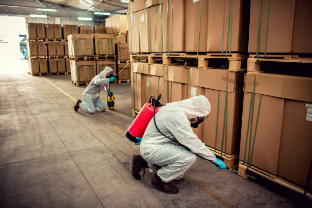 Best Exterminator Services  in Cassopolis, MI