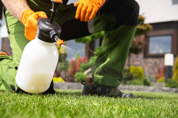 Best Best Pest Control Companies  in Cassopolis, MI