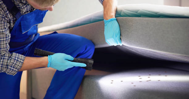 Best Commercial Pest Control Services  in Cassopolis, MI