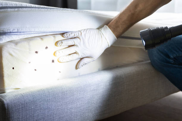 Best Emergency Pest Control  in Cassopolis, MI